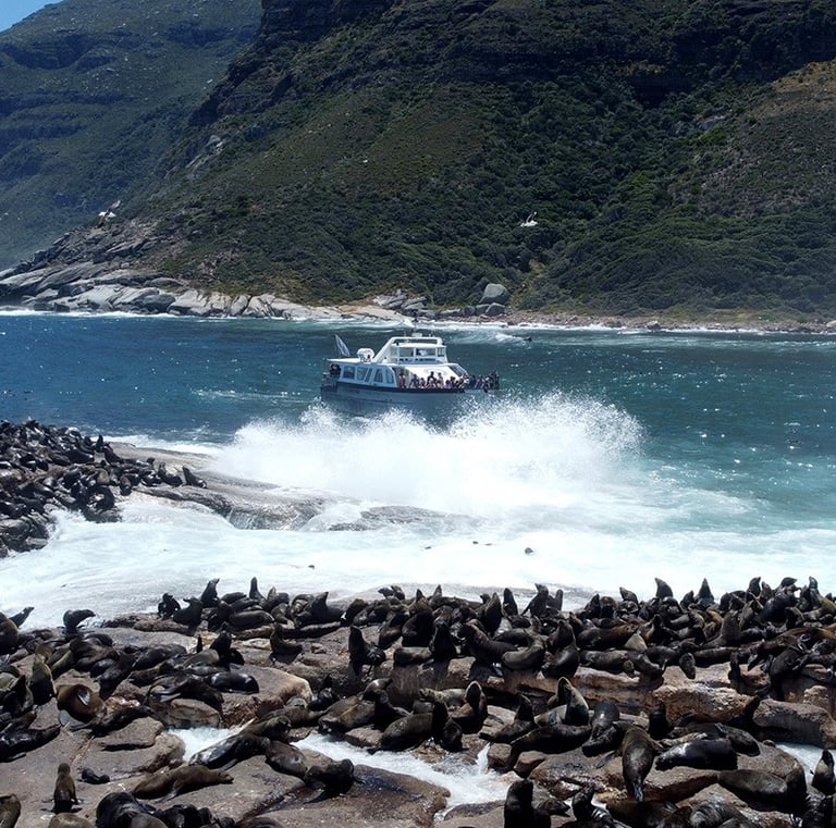 Table Mountain panorama