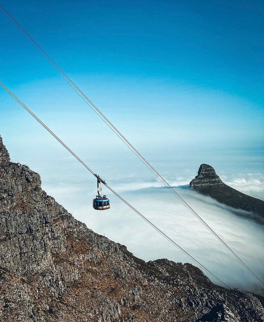 Table Mountain, Kirstenbosch and City Private Tour