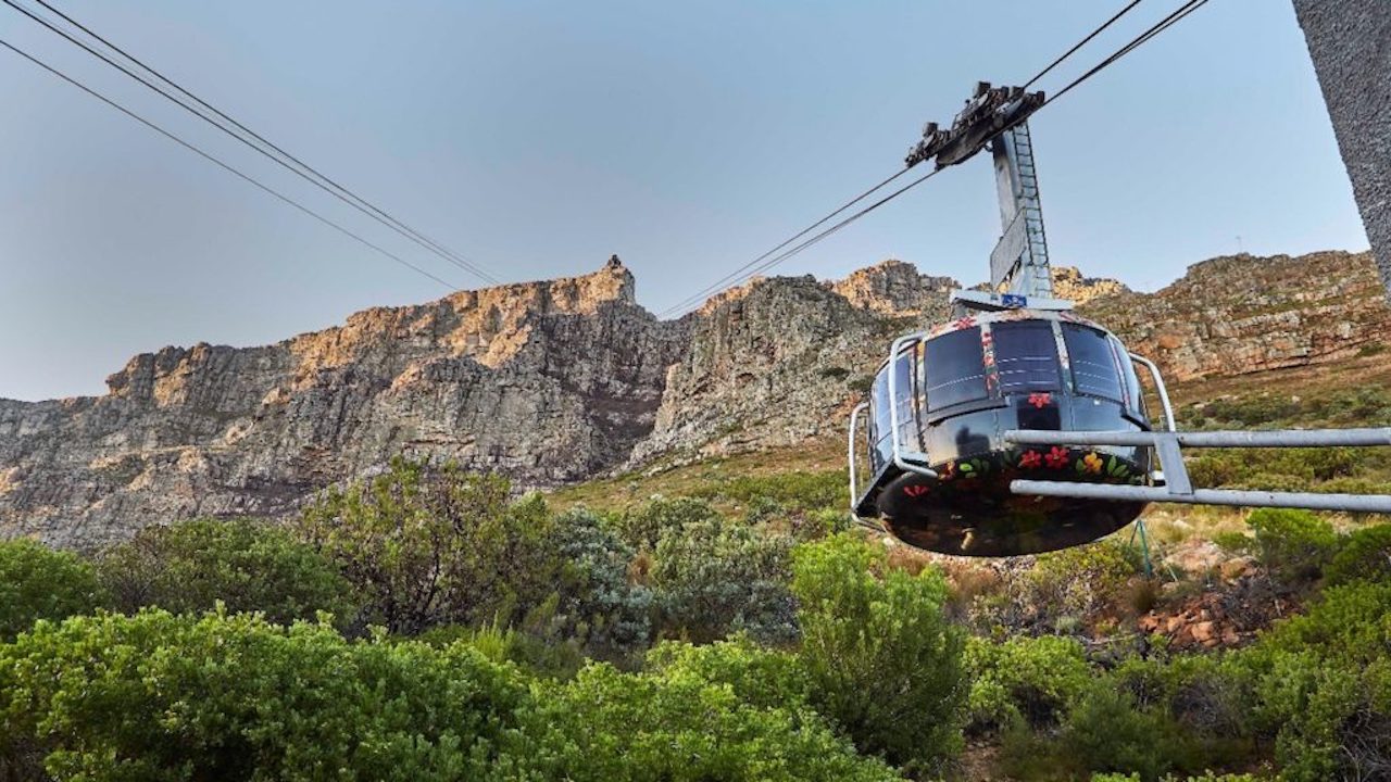Table Mountain, Boulders Beach (Penguins) and Cape of Good Hope Tour